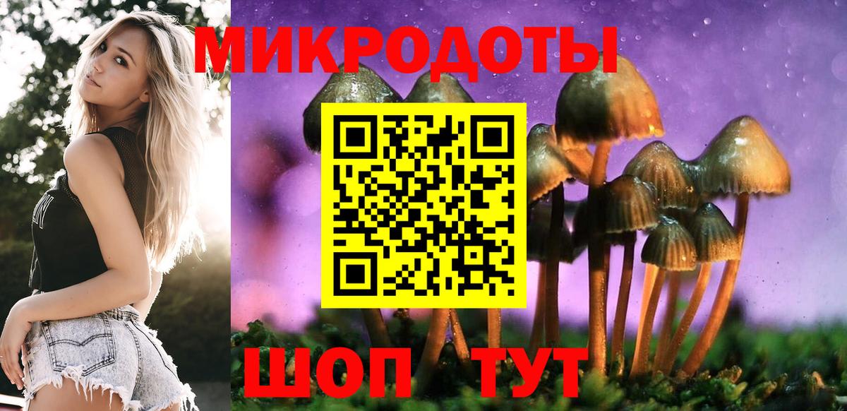 Псилоцибиновые грибы Cubensis Шебекино