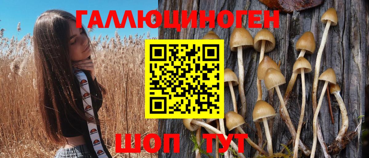 Галлюциногенные грибы мицелий  Псилоцибиновые грибы MAGIC MUSHROOMS  Шебекино  где можно купить наркотик  Вход с VPN 